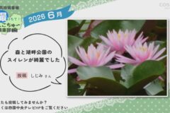 2026年6月放送　7