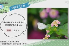 2026年6月放送　9