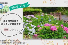 2026年7月放送　1