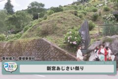 新宮あじさいまつり