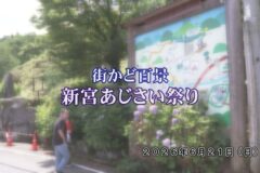 街かど百景：新宮あじさい祭り