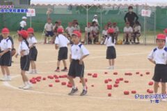 チェッコリ玉入れ／1年　２０２６年度　中之庄小学校運動会