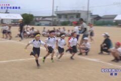 紅白対抗リレー／選抜　２０２６年度　中之庄小学校運動会