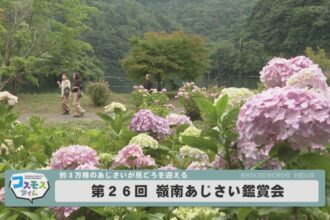 第２６回 嶺南あじさい鑑賞会