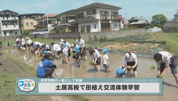 土居高校で田植え交流体験学習