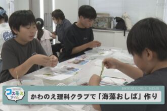 海藻おしばを作ろう！
