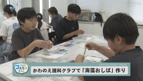 海藻おしばを作ろう！