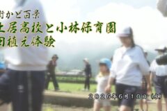 街かど百景：土居高校と小林保育園 田植え体験