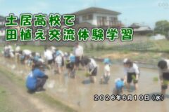 土居高校で田植え交流体験学習