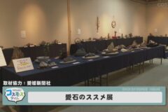 愛石のススメ展