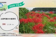 2026年10月放送　1