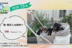 2026年10月放送　3