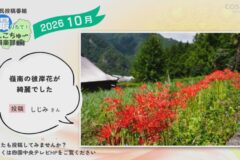 2026年10月放送　5