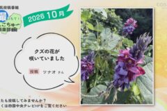 2026年10月放送　6