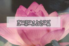 すいはフォトクラブ　ユーホールロビー展